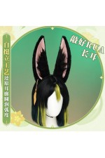 1/3 Delusion Genshin Impact Tighnari Cosplay Costume